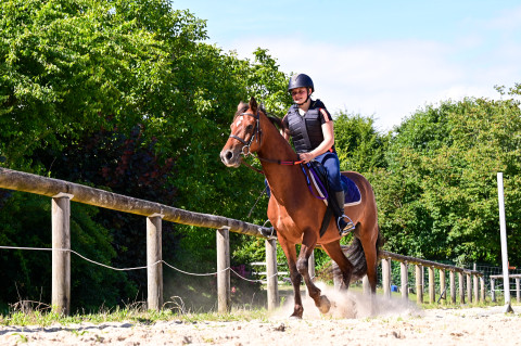 	STAGE EQUESTRE 5 JOURS - 1h30/JOUR - VACANCES TOUSSAINT - NIV CONFIRME